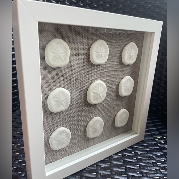 Sand Dollar Shadowbox - Picture 4 of 5